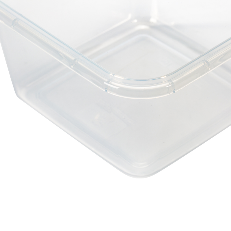 Plastic Food Storage Containers(10 Silicone Seal)